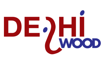 Delhiwood 2009 Report – May 2009